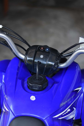 Yamaha Raptor 350