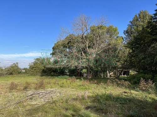 Imagen 4 de 8 de Terreno En Venta En 3216 M2 Fátima Manzanares Pilar