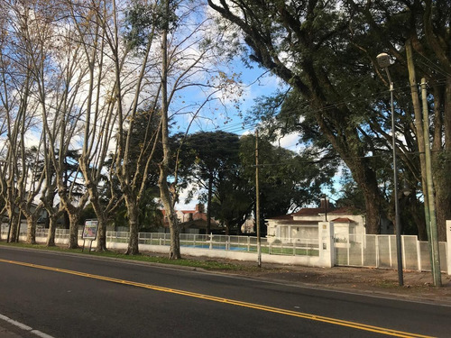 Local - Punta Chica