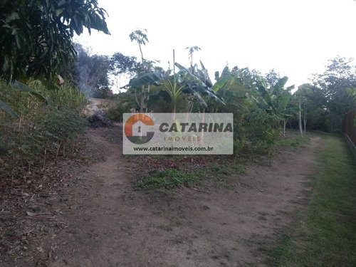 Imagem 10 de 10 de Lindo Terreno Com Topografia Plana!