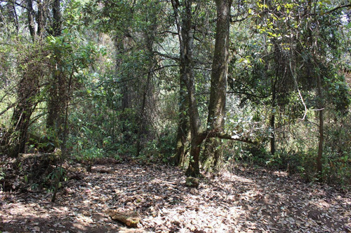 Terreno En Paraje Tetecuintla