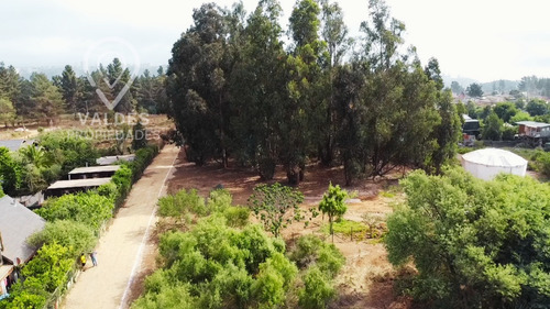 Terreno En Los Pinos Excelente Conectividad