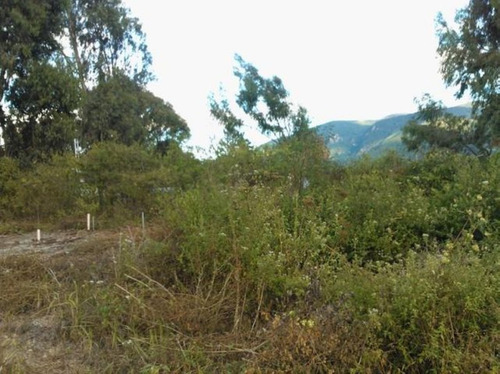 Imagen 10 de 30 de Terrenos En Venta Sanare Andres Eloy Blanco 22-21671 #m