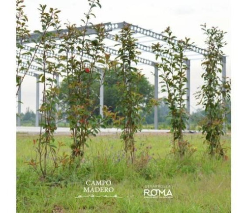 Imagen 6 de 6 de Terreno Campo Madero Ii - Ibarlucea - 300m2