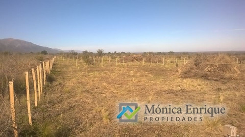 Terreno Desde 1500m2 En Cerro De Oro Pegado A Merlo