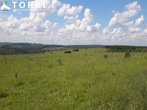 Imagem 9 de 16 de Fazenda À Venda Na Região De Garça - Fa00175 - 69382428