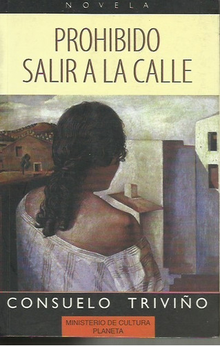 Prohibido Salir A La Calle (novela)