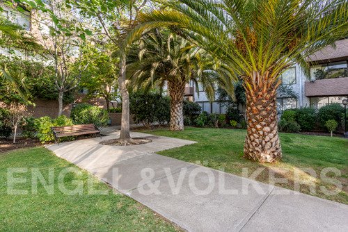 Duplex Con Conectividad Plaza San Enrique