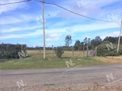 Imagen 4 de 5 de Terreno En Excelente Zona - Vendido - Punta Del Este Rincón Del Indio