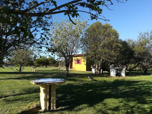 Venta Dos Casas Amoblada Pileta 1 Hectarea En Nono