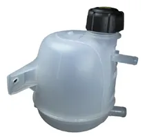 Comprar Depósito Refr Agua C Tapa Logan Duster Kangoo Symbol Sandero