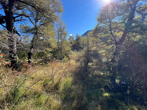 Parcela En La Precordillera Malalcahuello