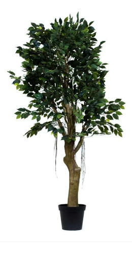 Remate De Arbolitos Artificiales! - Ficus 190cms