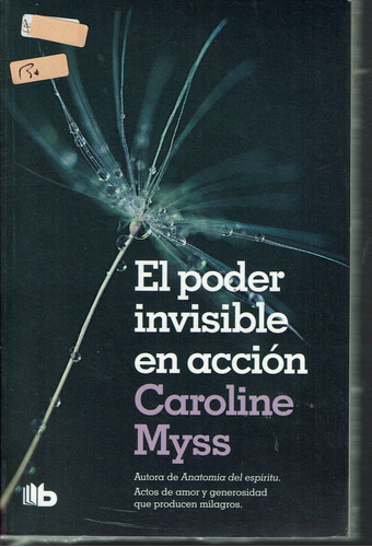 Libro El Poder Invisible En Acción - Caroline Myss