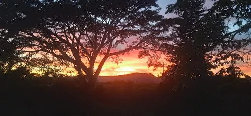 Finca