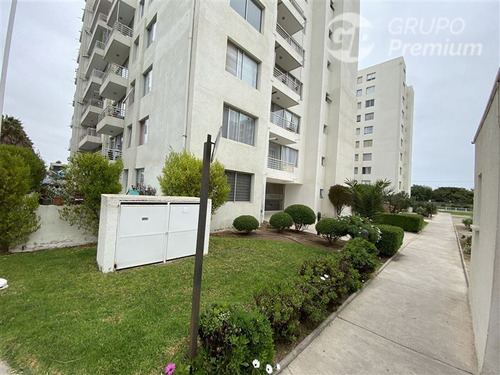 Departamento En Arriendo De 1 Dorm. En La Serena