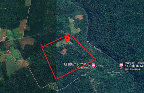 Venta Monte Nativo