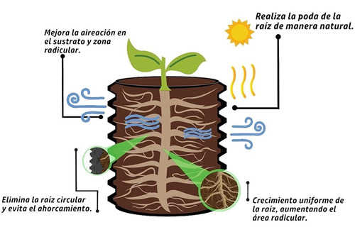 Imagen 4 de 7 de 5 Macetas Air Grower 78 Litros Ideal Para Ciruela, Platano