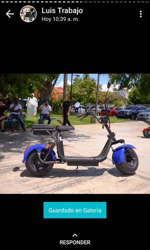 Imagen 10 de 14 de Ecoriders Harley O Citi Coco
