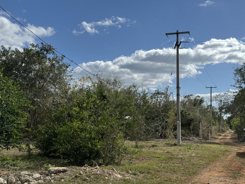 Ranchito Para Desarrollo De Proyecto