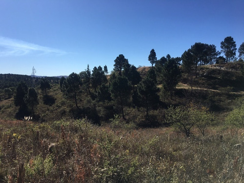 Imagen 6 de 6 de Venta De Excelente Hectárea En Potrero De Garay - Tlc0357