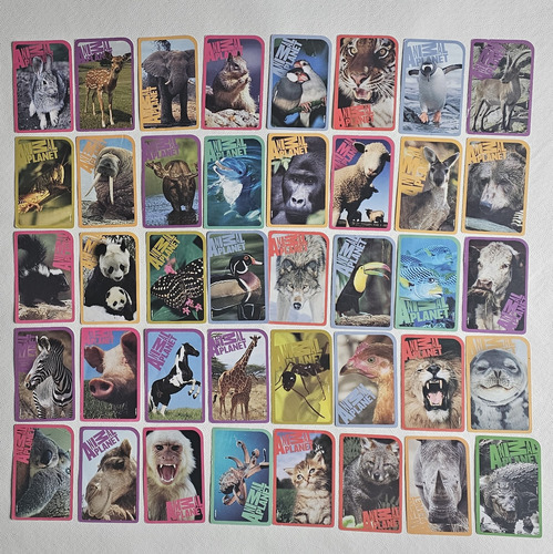 Cartas Didacticas Infantiles X 2 - Luminias Y Animal Planet