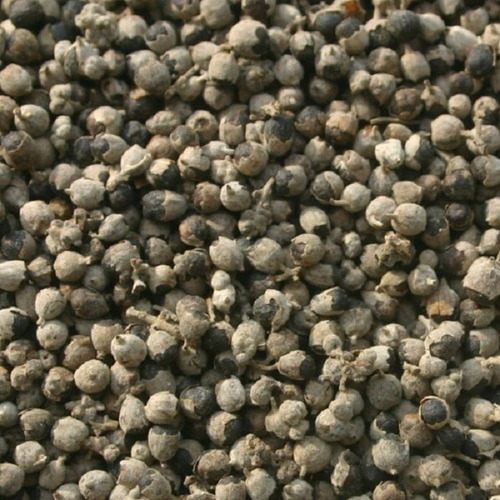 Semillas De Vitex Agnus-castus Sauzgatillo 200 Piezas