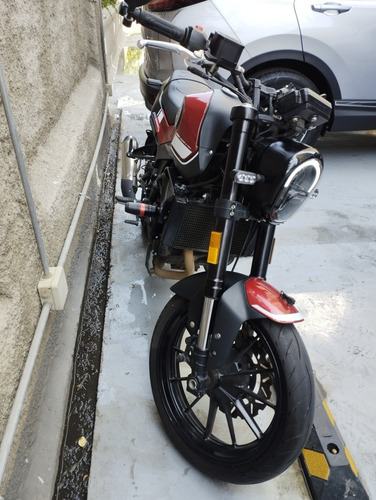Imagen 12 de 15 de Benelli Leoncino 250