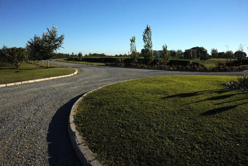 Imagen 8 de 19 de Terreno - Coronel Brandsen