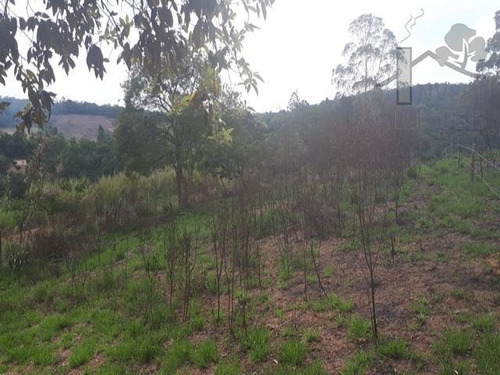 Imagem 1 de 4 de Cod 4005 - Terreno De 1.200 M² Todo Cercado. - 4005