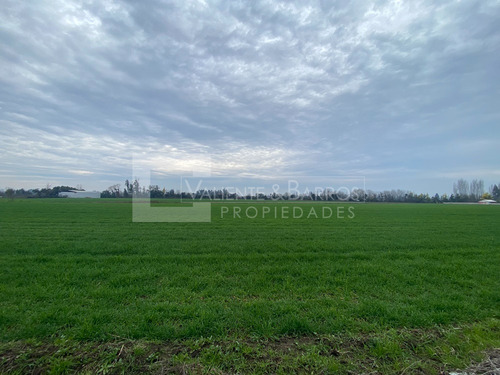 Parcela Agricola Ubicada En Retiro - 7ma Region