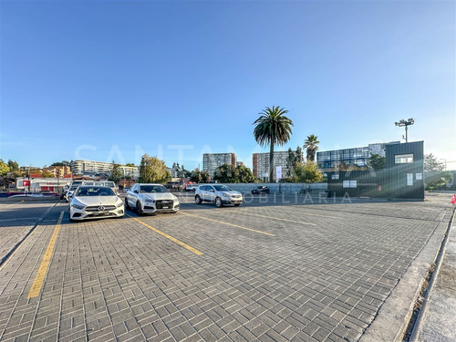 Arriendo Local Comercial En Lomas San Sebastián, Concepción.