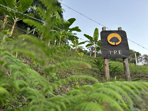 Terreno Cambuí 27.000m2 Energia Água E Vista Deslumbrante!