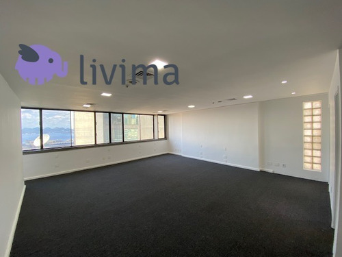 Imagem 6 de 18 de Sala Comercial Para Alugar Na Avenida Rio Branco 181, Centro, Rio De Janeiro - Rj - Liv-3965