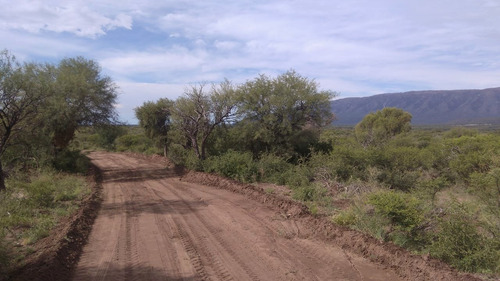 Imagen 6 de 7 de Chacra En Carpintería Con Agua