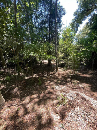 Venta De Propiedad En Camino A Las Termas De Chillán