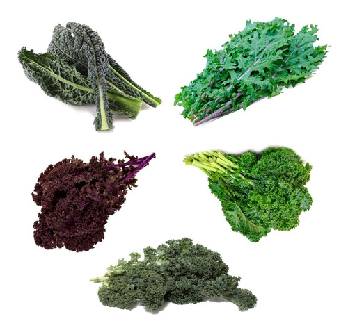 Semillas De Kale - Combo De 5 Variedades - Calidad Premium -