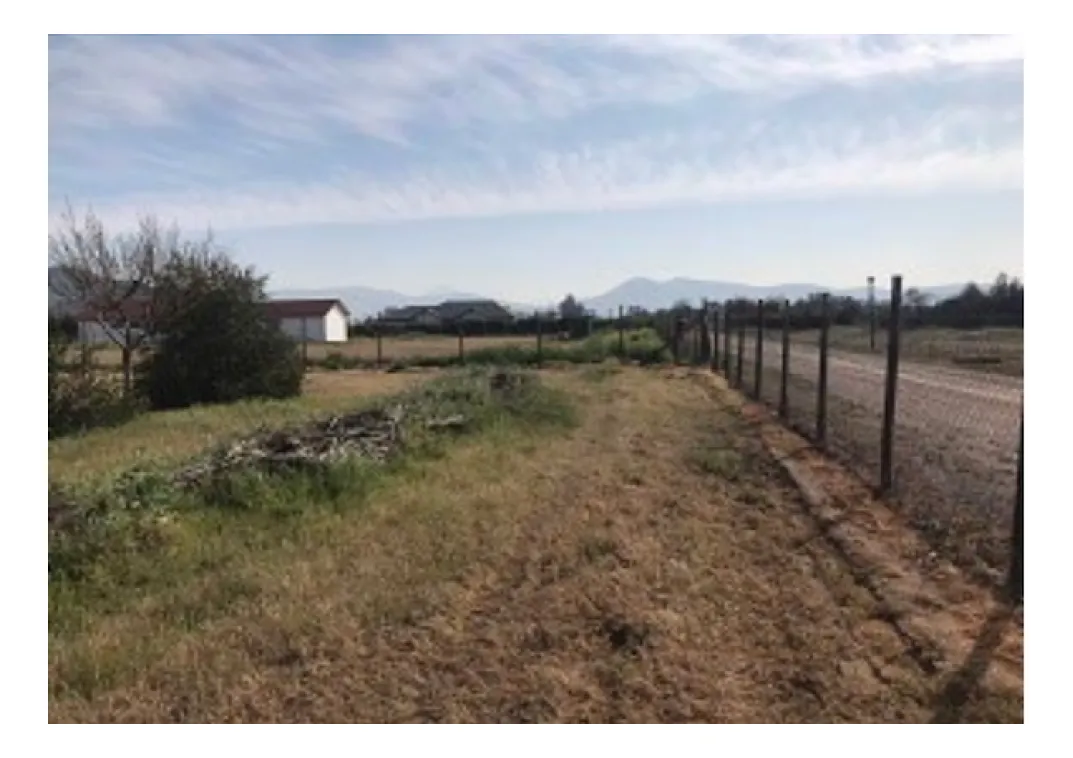 Imagen 1 de 13 de Venta Parcela De 5.000 M2 Con Cabaña En Polpaico