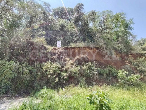 Venta Terreno Con Escritura De 600 M2 Con Servicios A Pie De Calle