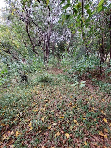 Imagen 11 de 12 de Vendo Lote En Agua De Oro! Ubicado A 3 Cuadras De La Ruta!