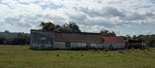 Imagen 15 de 15 de Excelente Chacra En Venta Para Reciclar A Dos Km De Puedo Eden Maldonado - Maldonado Ruta 9