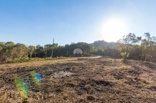 Imagem 8 de 30 de Chácara - Residencial - 936672