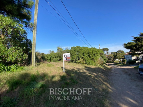Venta De Lote En Ostende Calle Moreno