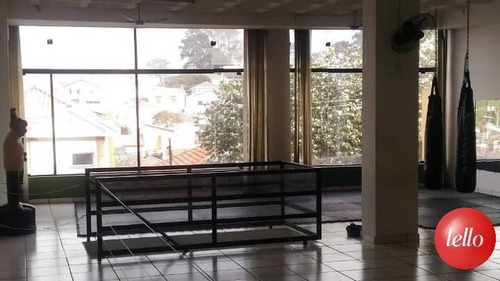 Comercial/industrial - Ref: 37073
