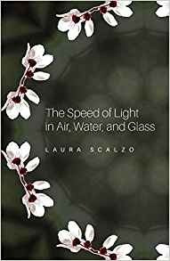 The Speed Of Light In Air, Water, And Glass