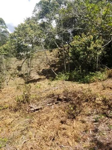 Lote En Venta En Paraje Cabeceras. Cod V12135