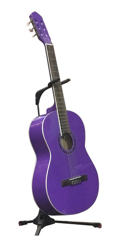 Guitarra Clasica Criolla Romulo Garcia Acg3920 Con Tensor