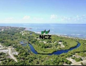 Imagem 4 de 24 de Terreno À Venda, 700 M² Por R$ 2.600.000,00 - Praia Do Forte - Mata De São João/ba - Te0812