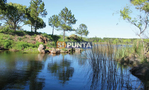 Terreno En Venta En Camino Lussich Chacras Del Pinar