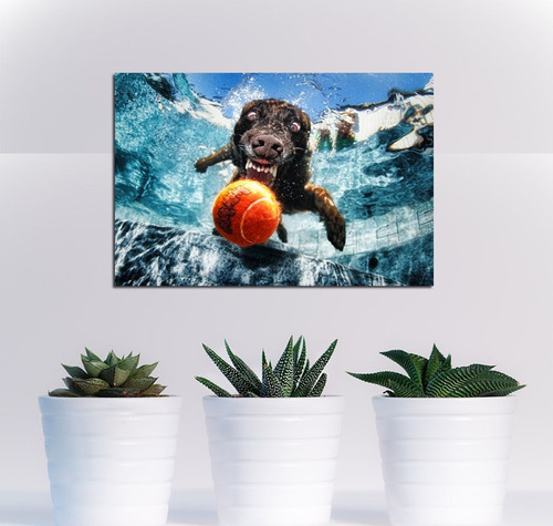 Vinilo Decorativo 30x45cm Perro Bajo El Agua Dog M5